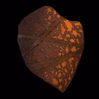 my-quest-for-the-ultimate-early-game-shield-in-avowed-a-survivor-s-guide-image-2